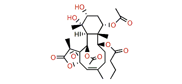 Briareolide A